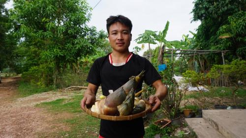 Panyanivej Organic Farm. Vientiane, Lao PDR, 2017 -   Photo by Somchit Phankham