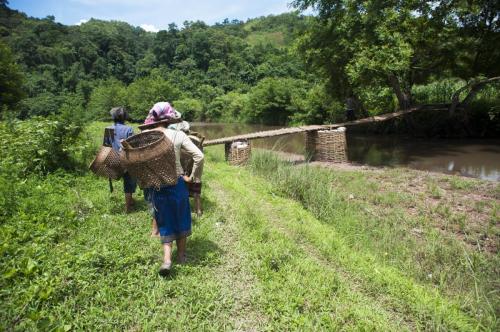 Phongsaly Province, Lao PDR, 2016 - Photo by Anthony Gueguen