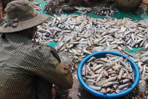 Pursat Province, Cambodia, 2014 - Photo by Ridan Sun