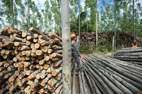 Salavan Province, Lao PDR, 2016 - Photo by Anthony Gueguen