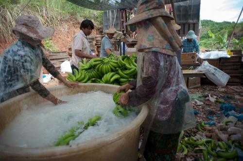 Phongsaly Province, Lao PDR, 2015 -Photo by Anthony Gueguen