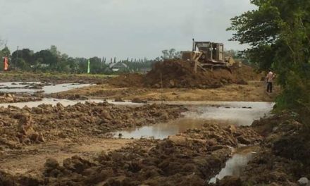 Villar-backed illegal land conversions threaten former Constitutional Commissioner’s farm