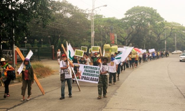 Farmers stage “Kalbaryo” drama, urge gov’t to ‘rescue’ small-scale agriculture in UN International Year of Family Farming