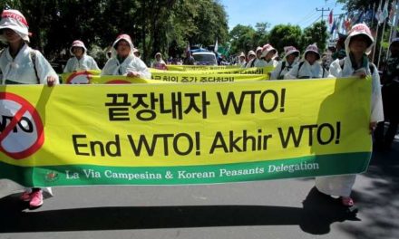 The WTO pushes through bad deal in the final hours; Developed countries and TNCs are the big winners