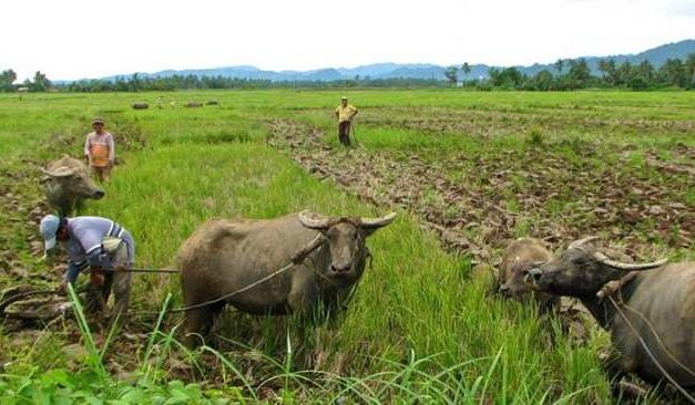 PARC to PNoy: Affirm Your Commitment to Full Implementation of Agrarian Reform