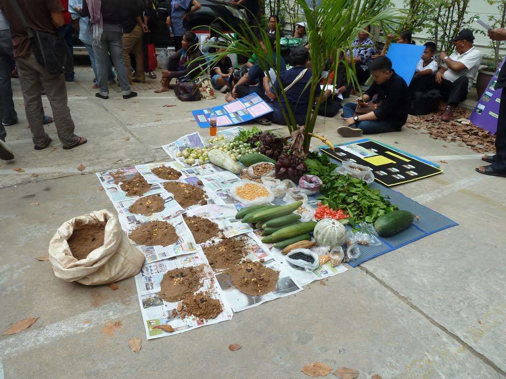 Thai farmers in protest