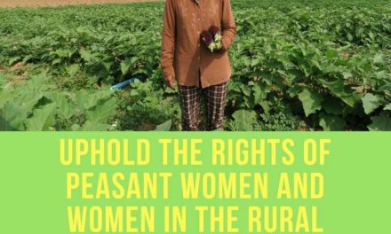 Rights of peasant women and other women working in rural areas