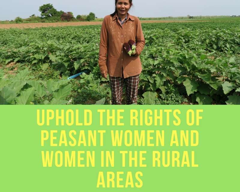 Rights of peasant women and other women working in rural areas