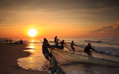 Covid-19 Outbreak: Socio-economic Impact on Small-scale Fisher and Aquaculture in Indonesia