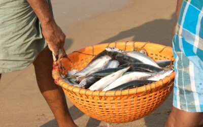 Impacts of COVID-19 on Small-Scale and Traditional Fishers and Fishworkers in India