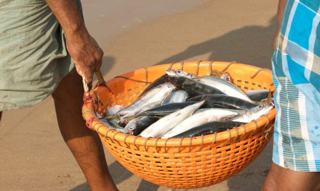 Impacts of COVID-19 on Small-Scale and Traditional Fishers and Fishworkers in India