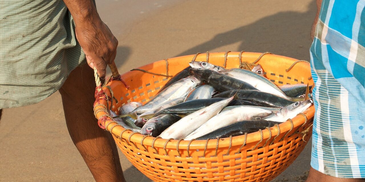 Buy Fish Measure Online In India -  India