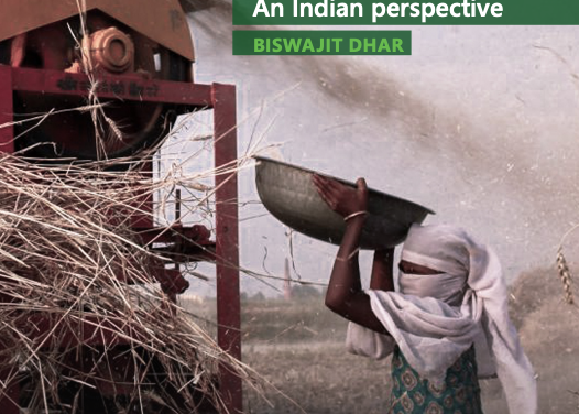 Interrogating the Food and Agriculture Subsidy Regime of the WTO: An Indian Perspective