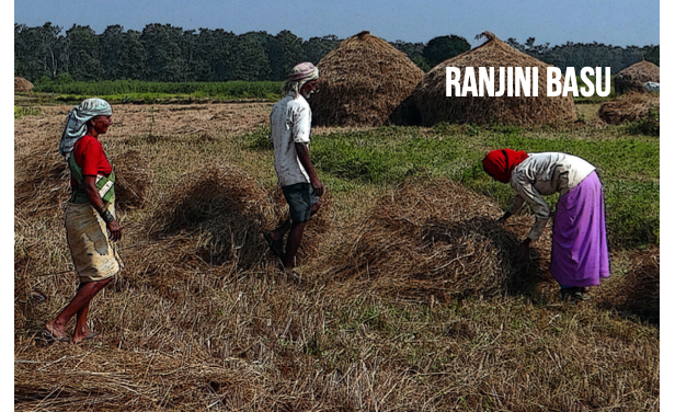 Farm Workers During COVID: Biggest Casualty of Neoliberal Food Systems