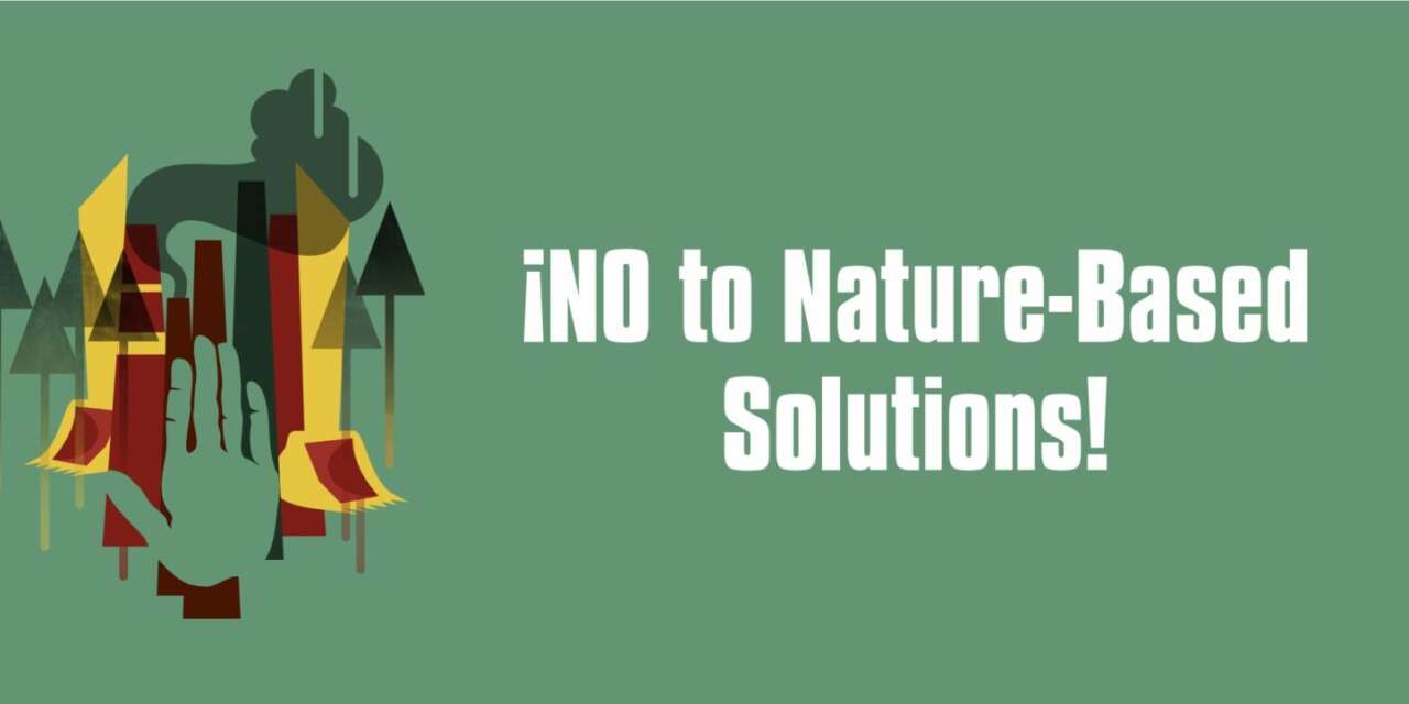 Press conference on 15 March: No to Nature Based Solutions!
