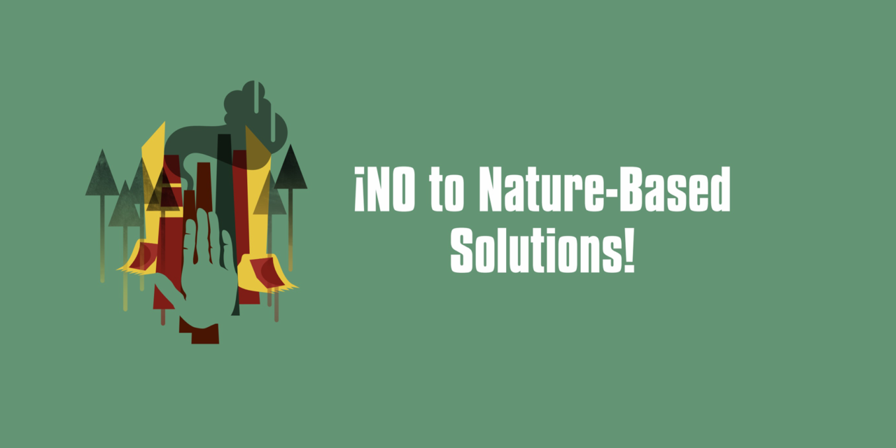 Call for Endorsement: No to Nature-Based Solutions!