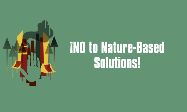 257 groups say NO to nature-based solutions!