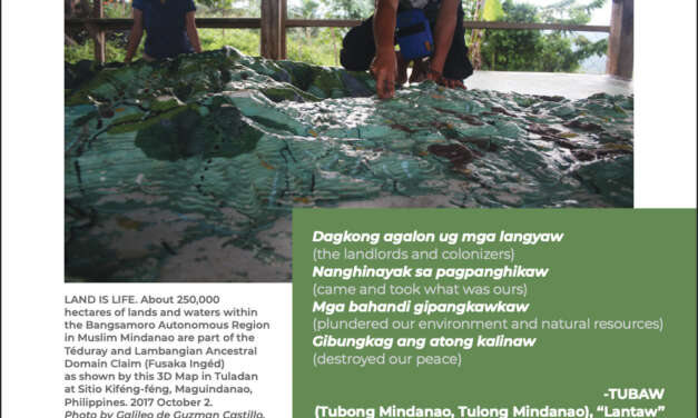 INWARD FLOWS AND UNDERTOWS: Investments in the Bangsamoro