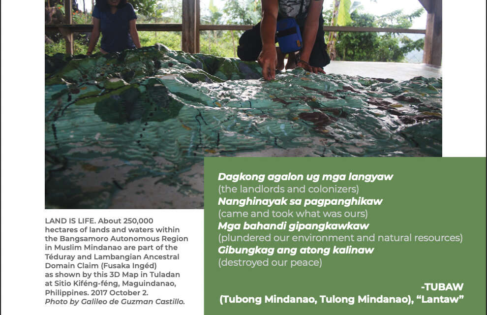 INWARD FLOWS AND UNDERTOWS: Investments in the Bangsamoro