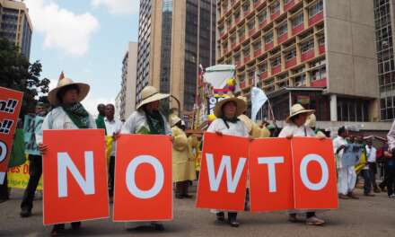 The Global South in the WTO: Time to Move from the Defensive to the Offensive