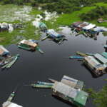 Impact of redistributing flooded forestland around Tonle Sap Lake