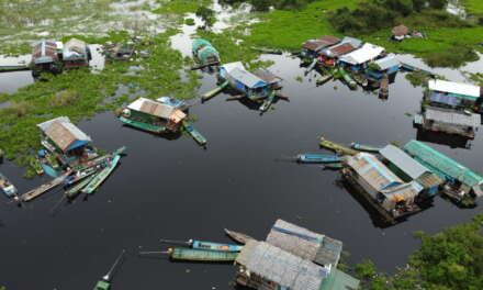 Impact of redistributing flooded forestland around Tonle Sap Lake