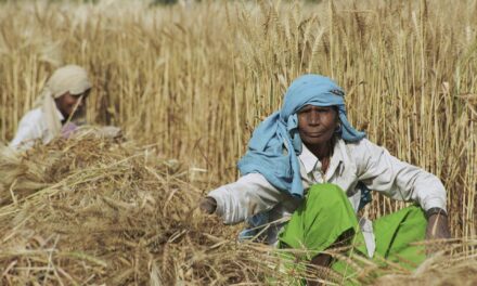 India in the Present Global Food Crisis :  A Myopic Approach towards Public Stockholding of Foodgrains