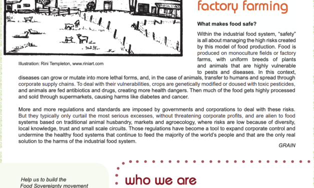 Nyéléni Newsletter no 53:  Emerging diseases and factory farming