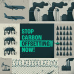 कार्बन ऑफ़सेटिंग अभी रोको!