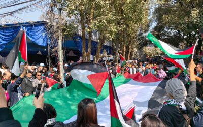 #WSF2024: Palestine Lights the Way Forward