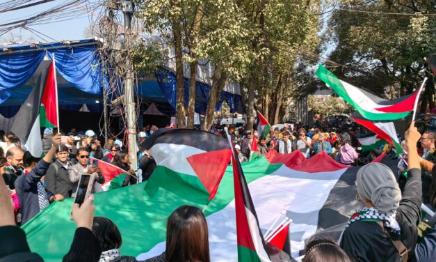 #WSF2024: Palestine Lights the Way Forward