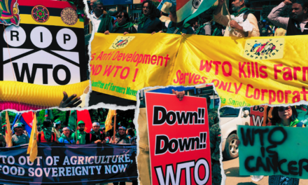 STATEMENT: WTO is unfit for purpose in an era of multiple crises; It is time for an Alternative International Trade Framework based on Food Sovereignty