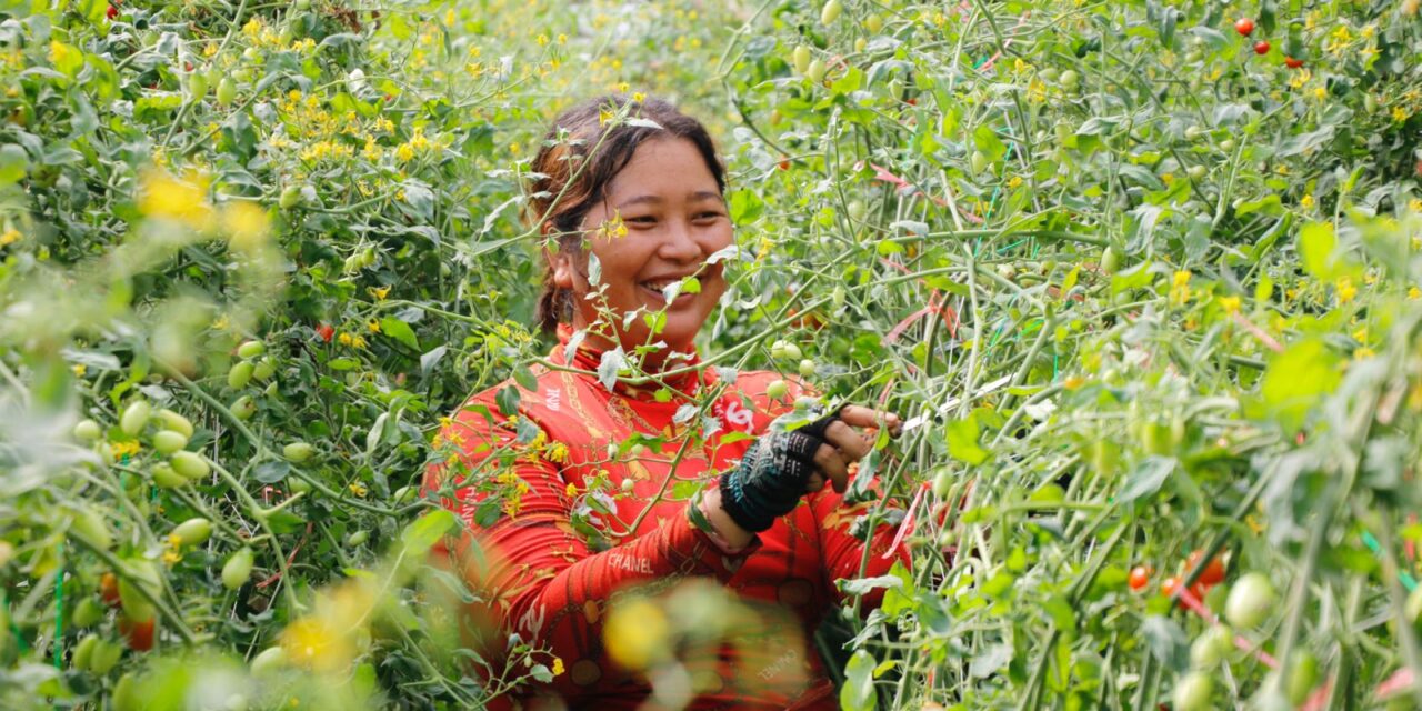 The Challenges and Triumphs of Agroecology: A Visit to Ta Soun Natural Farm in Cambodia