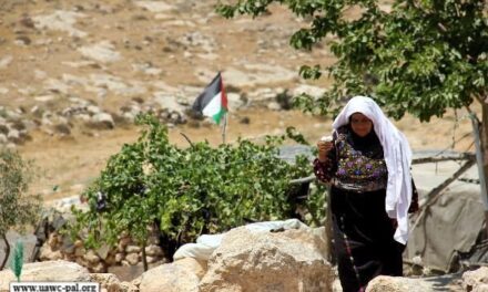 La Via Campesina Denounces Land Annexation by the Occupying and Apartheid State of Israel