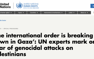 ‘The international order is breaking down in Gaza’: UN experts mark one year of genocidal attacks on Palestinians