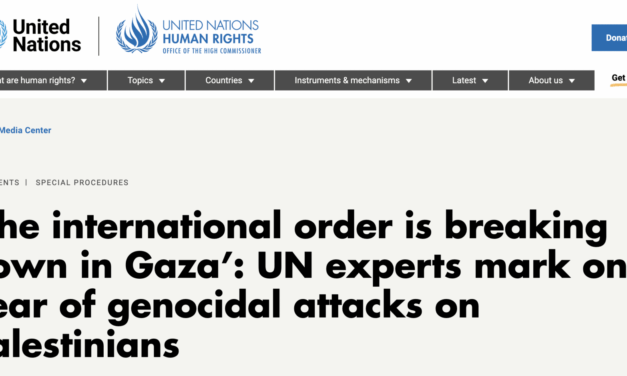 ‘The international order is breaking down in Gaza’: UN experts mark one year of genocidal attacks on Palestinians