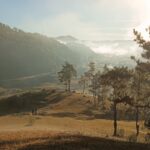 Epistemologies from the Hills: Documenting TEK of Zeliangrong Community