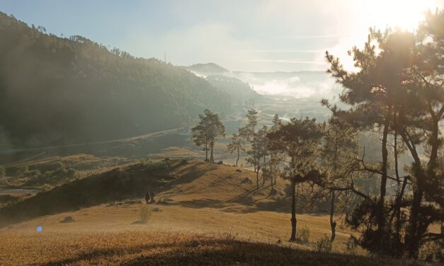 Epistemologies from the Hills: Documenting TEK of Zeliangrong Community
